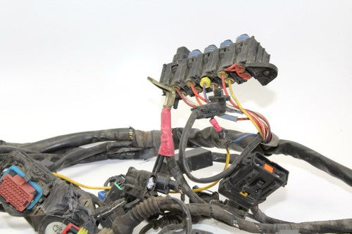05-06 Ducati Multistrada 620 Main Engine Wiring Harness Motor Wire Loom OEM