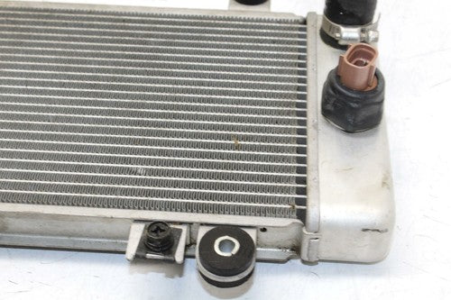 08-12 Kawasaki Ninja 250r Ex250j Engine Radiator Motor Cooler Cooling Radiater