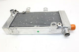 2005 Honda Super Hawk 1000 Vtr1000f Engine Radiator Motor Cooler Cooling