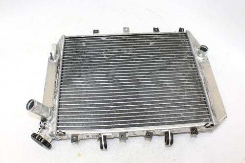 2002 Kawasaki Ninja Zx12r Zx1200b Engine Radiator Motor Cooler Cooling Radiater