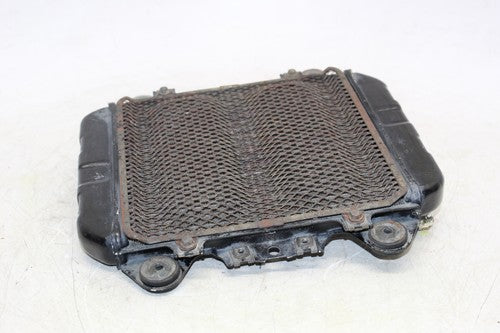 1989 Kawasaki Ninja 250r Ex250f Engine Radiator Motor Cooler Cooling Radiater