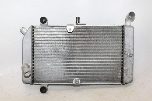 2007 Honda Silver Wing 600 Fsc600 Engine Radiator Motor Cooler Cooling Radiater