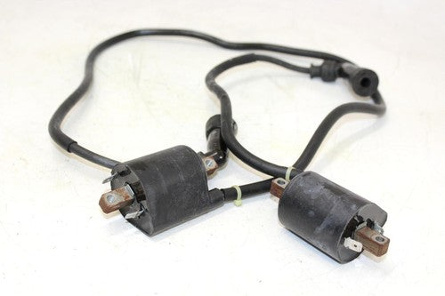1996 Suzuki Intruder 1400 Vs1400glp Ignition Coils