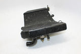 1999-2000 Honda Cbr600f4 Engine Radiator Motor Cooler Cooling Radiater OEM