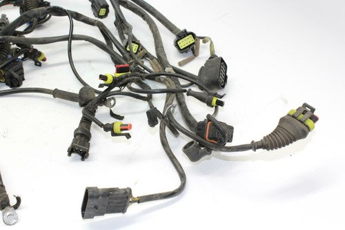 05-06 Ducati Multistrada 620 Main Engine Wiring Harness Motor Wire Loom OEM