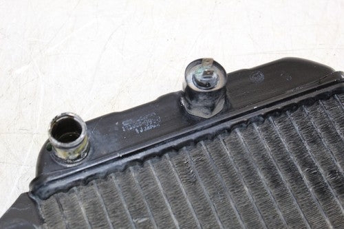 1989 Kawasaki Ninja 250r Ex250f Engine Radiator Motor Cooler Cooling Radiater