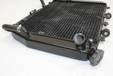 2002-2005 Kawasaki Ninja Zx12r Engine Radiator MOTOR Cooler Cooling Radiater OEM