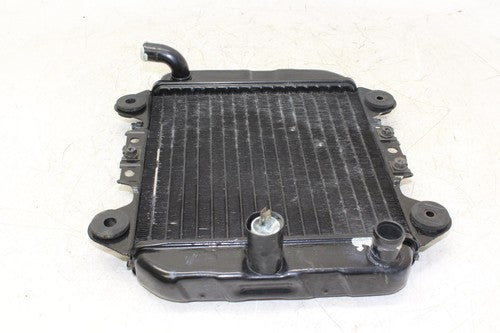 2006 Kawasaki Ninja 250r Ex250f Engine Radiator Motor Cooler Cooling Radiater