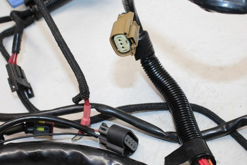 2008 Harley-Davidson V-Rod VRSCAW MAIN ENGINE WIRING HARNESS MOTOR WIRE LOOM