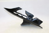 2019 Kawasaki Z900 Rear Back Fender Mud Guard