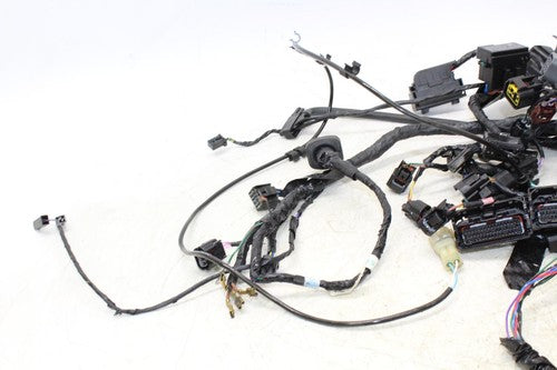 13-16 Triumph Daytona 675r Abs Main Engine Wiring Harness Motor Wire Loom OEM