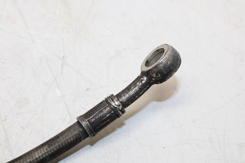 1996 Honda Cbr600f3 Brake Caliper Hoses Lines Set