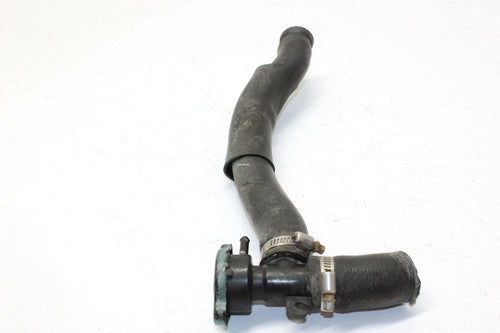 1996 Honda Cbr600f3 Radiator Hose & Neck Cap OEM