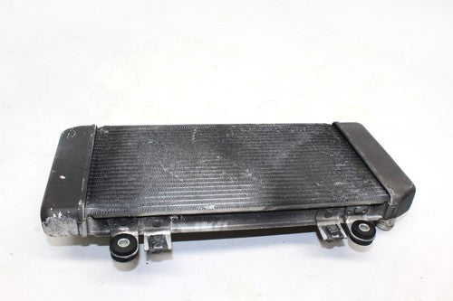 08-12 Kawasaki Ninja 250r Ex250j Engine Radiator Motor Cooler Cooling Radiater