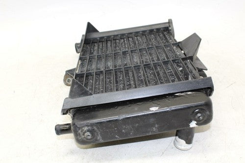 04-09 Yamaha Fz6 Engine Radiator Motor Cooler Cooling Radiater OEM