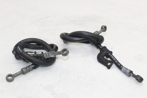 1998-99 Yamaha Yzf R1 Front Brake Caliper Hoses Lines 4xv-25872-00-00 OEM