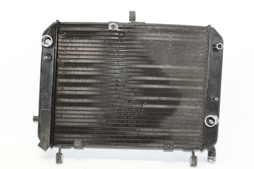 2003-2005 Yamaha Fjr1300 Engine Radiator MOTOR Cooler Cooling Radiater OEM