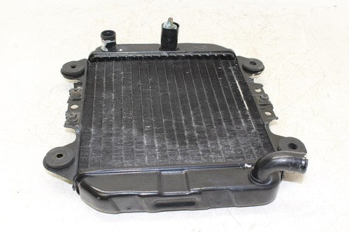 2006 Kawasaki Ninja 250r Ex250f Engine Radiator Motor Cooler Cooling Radiater