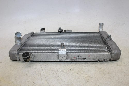2007 Honda Silver Wing 600 Fsc600 Engine Radiator Motor Cooler Cooling Radiater