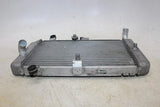 2007 Honda Silver Wing 600 Fsc600 Engine Radiator Motor Cooler Cooling Radiater