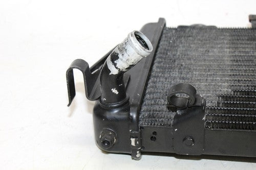 2009 Triumph Tiger Engine Radiator Motor Cooler Cooling Radiater