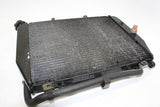 2002-2005 Kawasaki Ninja Zx12r Engine Radiator MOTOR Cooler Cooling Radiater OEM