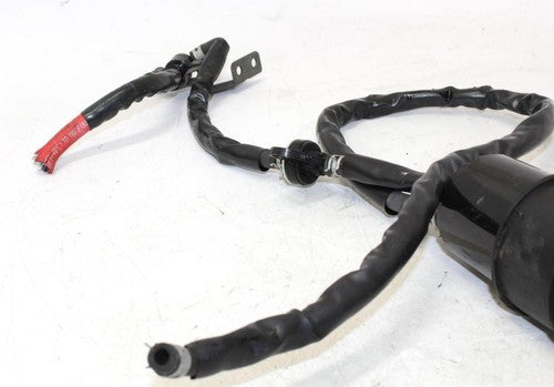 2001 Suzuki Sv650 Evap Vapor  Charcoal Emission Canister