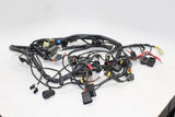 2000 Cagiva Gran Canyon 900 Main Engine Wiring Harness Motor Wire Loom OEM