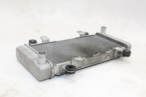 2013-17 Kawasaki Ninja 300 Ex300a Engine Radiator Motor Cooler Cooling OEM