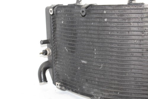 1999-2000 Honda Cbr600f4 Engine Radiator Motor Cooler Cooling Radiater OEM