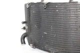 1999-2000 Honda Cbr600f4 Engine Radiator Motor Cooler Cooling Radiater OEM