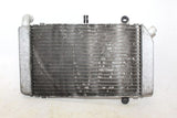 2007 Honda Silver Wing 600 Fsc600 Engine Radiator Motor Cooler Cooling Radiater