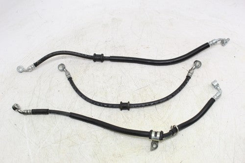 2019 Suzuki Gsxr750 Rear Back Front Brake Hose Fluid Line Set