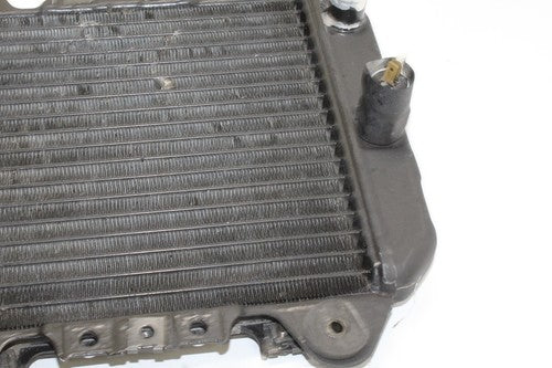 2005 Kawasaki Ninja 250r Engine Radiator MOTOR Cooler Cooling Radiater OEM