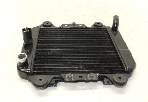 97-07 Kawasaki Ninja 250r Ex250f Engine Radiator Motor Cooler Cooling Radiater