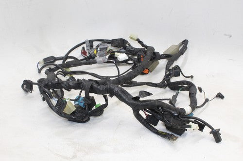 2013-17 Kawasaki Ninja 300 Ex300a Main Engine Wiring Harness Motor Wire Loom OEM