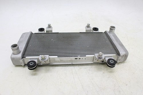 2013 Kawasaki Ninja 300 Ex300a Engine Radiator Motor Cooler Cooling Radiater