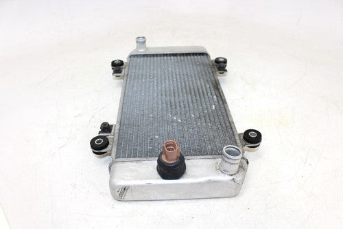 2009 Kawasaki Ninja 250r Ex250j Engine Radiator Motor Cooler Cooling Radiater