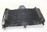 04-09 Yamaha Fz6 Engine Radiator Motor Cooler Cooling Radiater OEM