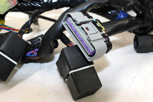 2009 Triumph Tiger Main Engine Wiring Harness Motor Wire Loom 6T2-820098 0012