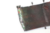 03-05 Honda Cbr600rr Engine Radiator Motor Cooler Cooling Radiater OEM