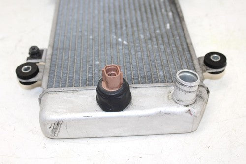2009 Kawasaki Ninja 250r Ex250j Engine Radiator Motor Cooler Cooling Radiater