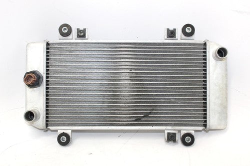 2009 Kawasaki Ninja 250r Ex250j Engine Radiator Motor Cooler Cooling Radiater