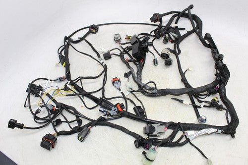 2015 Ducati 899 Panigale Main Engine Wiring Harness Motor Wire Loom