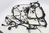 2015 Ducati 899 Panigale Main Engine Wiring Harness Motor Wire Loom
