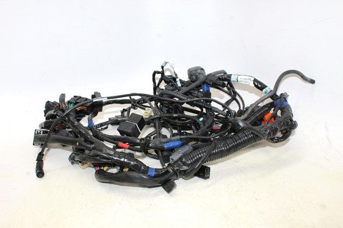 2009 Triumph Tiger Main Engine Wiring Harness Motor Wire Loom 6T2-820098 0012