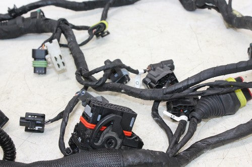 2013 Ducati Monster 796 Main Engine Wiring Harness Motor Wire Loom