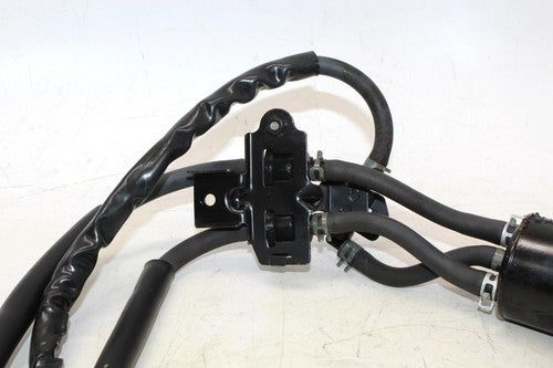 1994 Suzuki Rf900r Evap Vapor Charcoal Emission Canister
