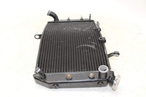 11-13 Yamaha Fz8 Engine Radiator Motor Cooler Cooling Radiater OEM