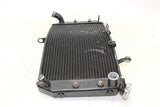 11-13 Yamaha Fz8 Engine Radiator Motor Cooler Cooling Radiater OEM